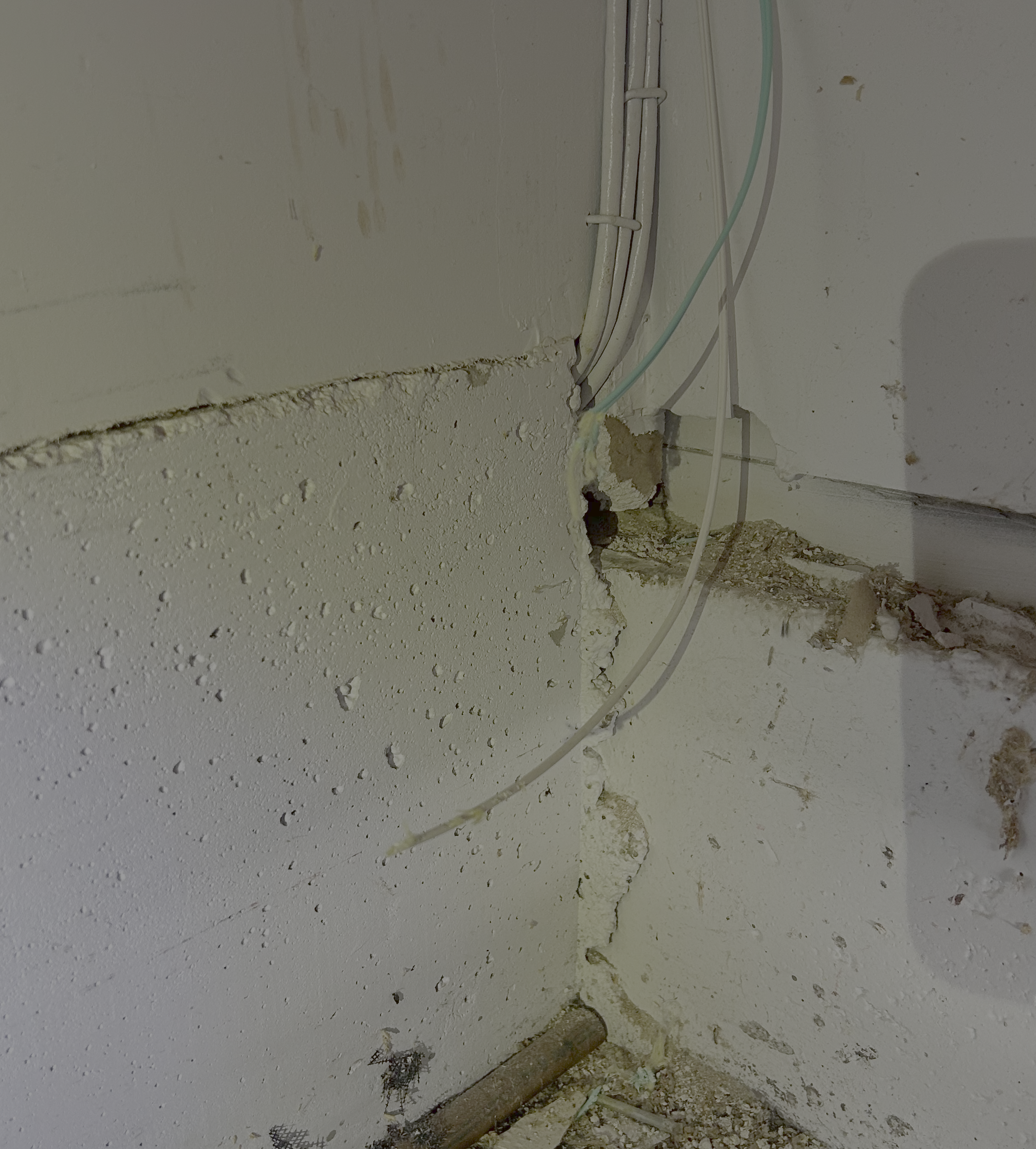 The corner of a painted interior wall with the plaster gnawed away along the base, rubble and chewed debris heaped on the floor, and a pale green fiber cable bitten clean through, its severed end hanging loose beside the intact white cables